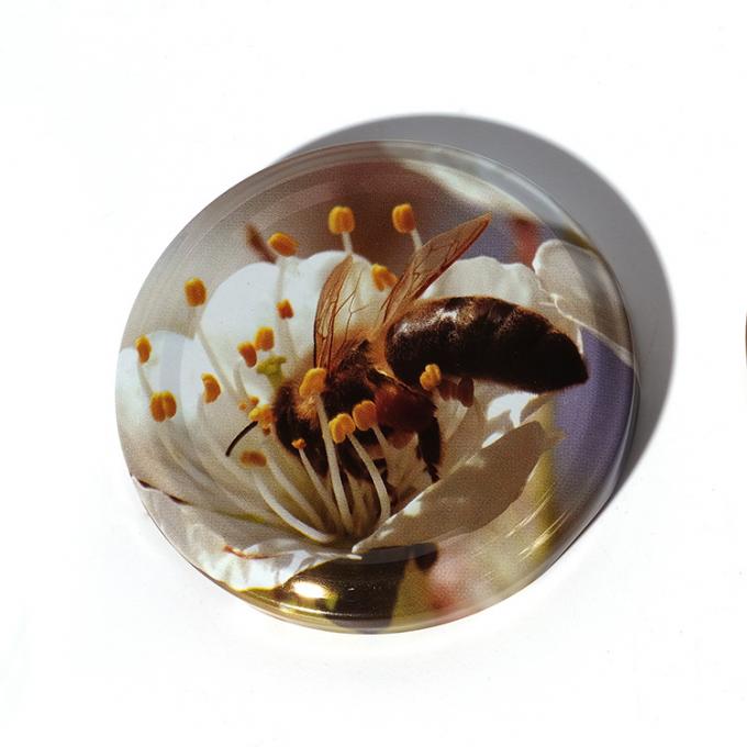 Besonders gedruckte Glas-Honig-Glasflaschenkappe 12